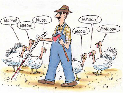turkey-moo