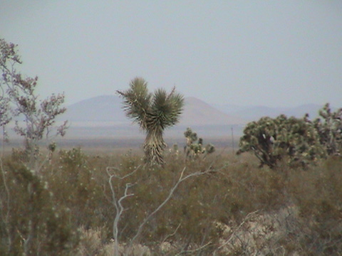 DSC00151