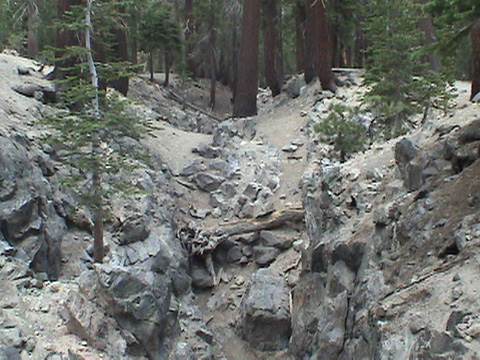 DSC00181
