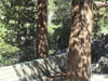 DSC00158