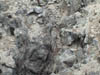 DSC00176