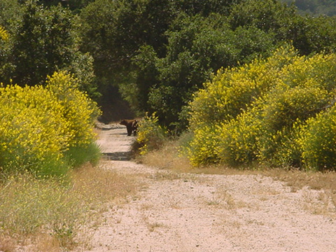 DSC00374