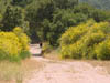 DSC00375