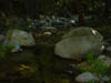 creek