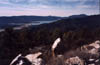 bbviewgoldmtn