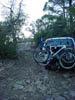 theroadless