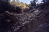 theroadless4