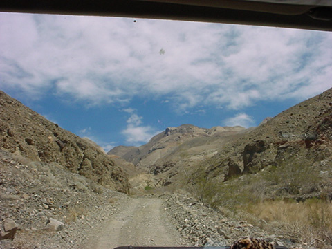 DSC00550