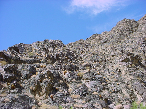 DSC00555