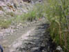 DSC00551