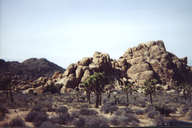 jtree5