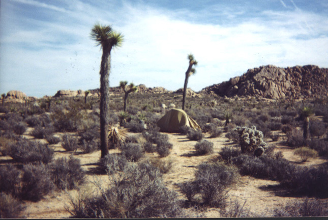 jtree7