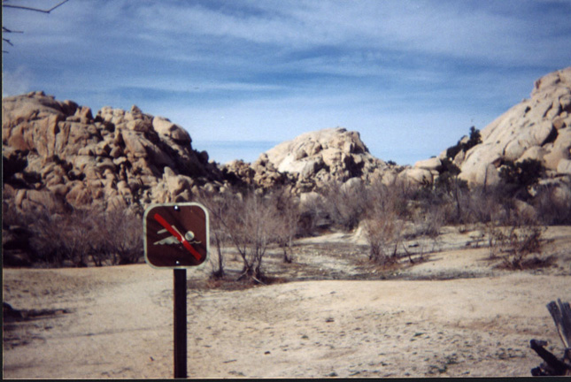 jtree9