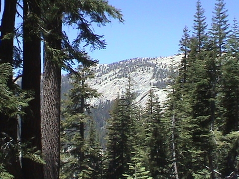 dscview