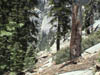 DSC00089