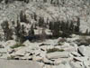 DSC00109