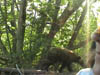 teenbear9