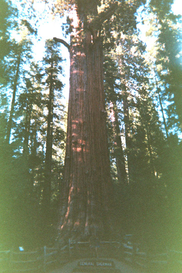 003_00A