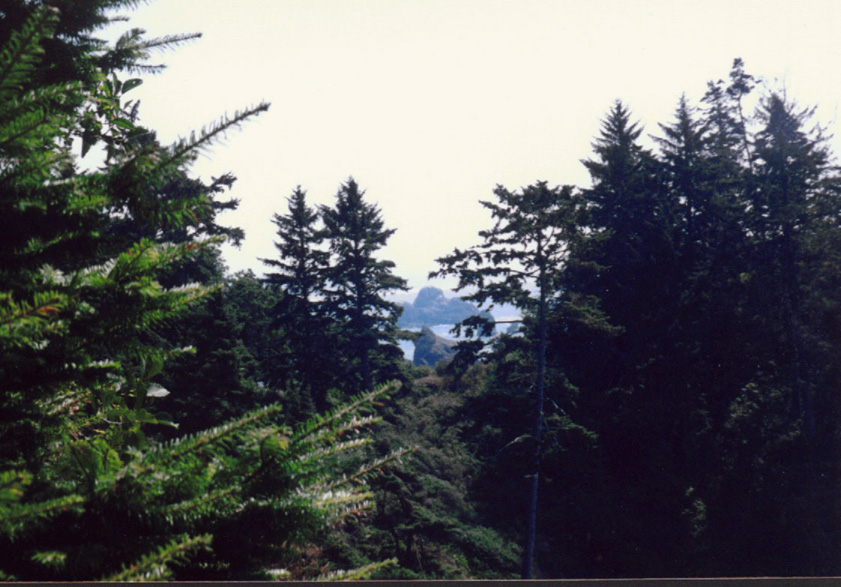 view