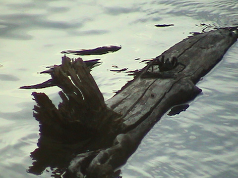 DSC00240
