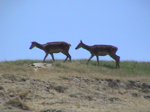 DSC00030