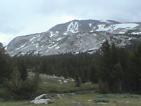 DSC00184