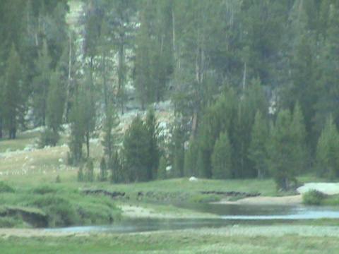 DSC00194