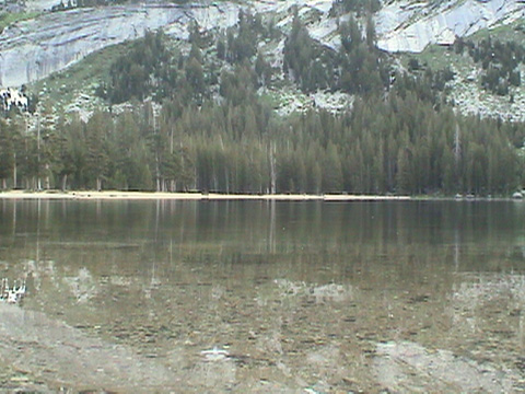 DSC00206