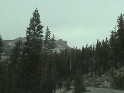 DSC00207