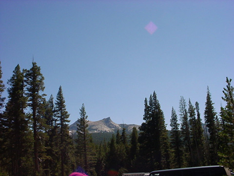 Dsc00106